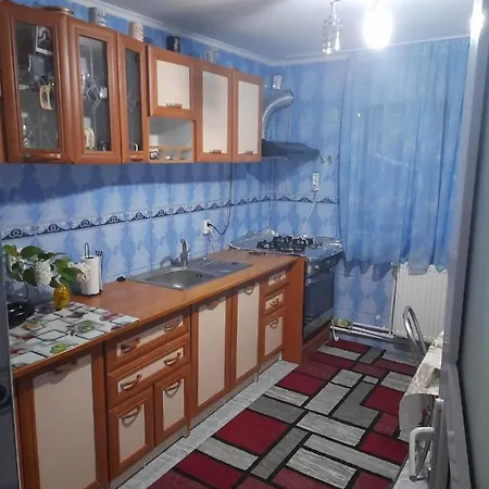 Casa G 펜션 Douăzeci şi Trei August