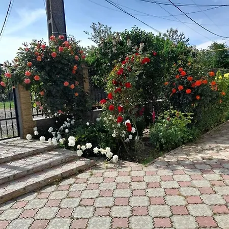 Casa G 펜션 Douăzeci şi Trei August